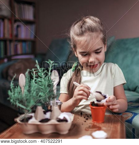 Pretty Schoolgirl Growing Kitchen Herbs In The Eggshell, Rosmary And Thyme, Zero Waste Gardening Con
