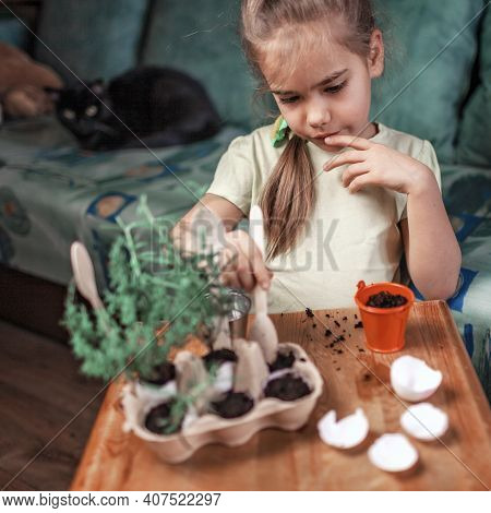 Pretty Schoolgirl Growing Kitchen Herbs In The Eggshell, Rosmary And Thyme, Zero Waste Gardening Con