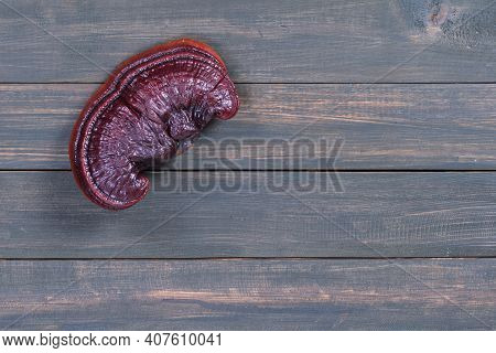 Ganoderma Lucidum Mushroom On Wood Table