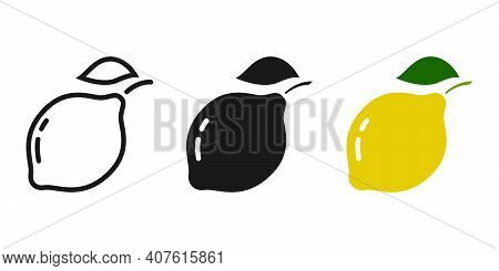 3 Types Of Fruit Icons. Limon. Outline, Silhouette, And Color Option.editable Stroke.
