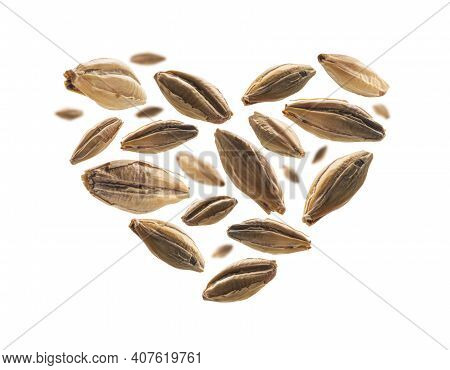 Barley Malt Grains In The Shape Of A Heart On A White Background