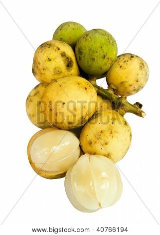 원시와 익은 긴 홍콩 Lansium Domesticum