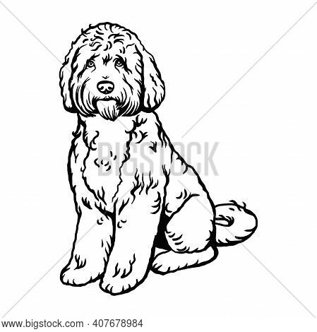 Labradoodle Mix Dog - Vector Isolated Illustration On White Background