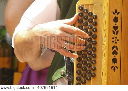 Harmonica Or Accordion Musical Instrument