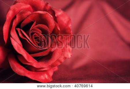 Valentine's Day Background With Red Rose