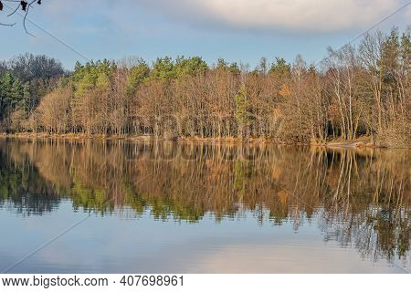 Mirror Reflection In The Water Surface Of The Surrounding Bare Trees Of A Lake In Dal Van De Roodebe