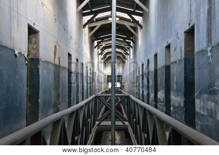 Inside The Old Prison Of Ushuaia