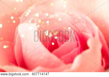 Modern Floral Background. Biophilic Design Or Colors Of Nature. Close-up Of Rose Petals. Mood Boosti