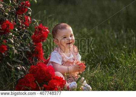 A Little Baby Sits On A Green Lawn Next To Red Roses. A Happy Girl In A Powdery Overalls Enjoys A Wa