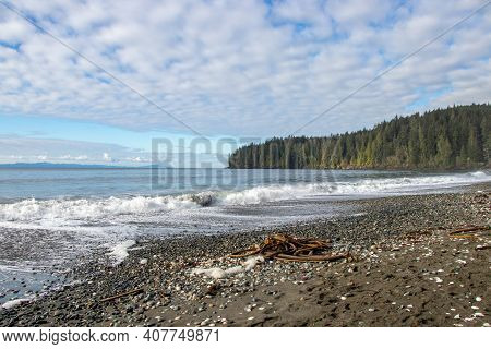 Kelp And Stones On The Forest Lined Beach Coast At Juan De Fuca Provincial Park On Vancouver Island,