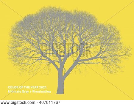 Color Of The Year 2021, Ultimate Gray + Illuminating. A Leafless Tree Silhouette. Gray Tree With Yel