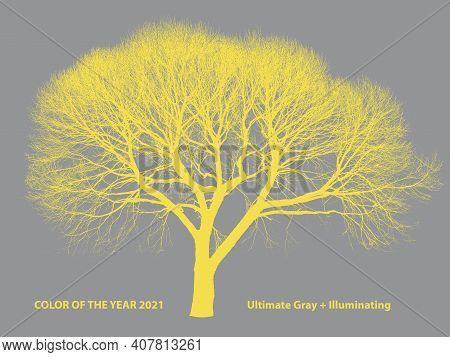 Color Of The Year 2021, Ultimate Gray + Illuminating. A Leafless Tree Silhouette. Yellow Tree With G
