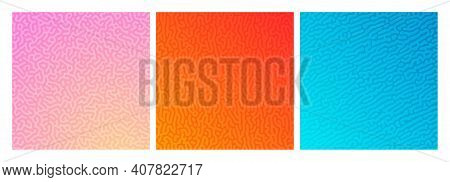 Set Of Three Colorful Turing Reaction Gradient Backgrounds. Abstract Diffusion Pattern With Chaotic 