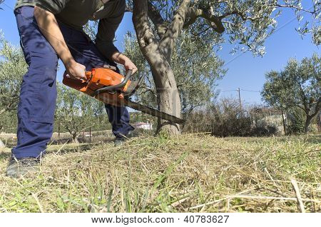 Taglio del legno sega a catena