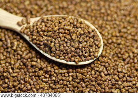 Buckwheat Tea In A Wooden Spoon. Buckwheat Tea Close-up Macro Photography. Scattered Buckwheat Tea P
