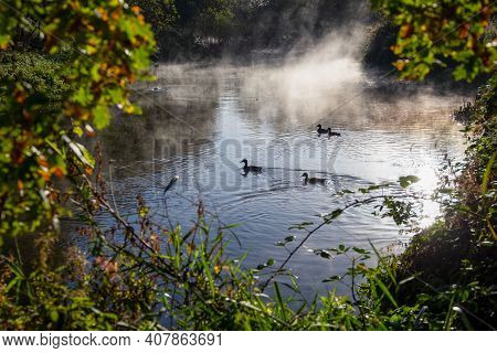 Early Morning Mist On The River Wandle, London In Autumn
