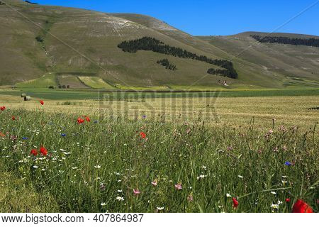Norcia (pg), Italy - May 25, 2015: The Italy Silhuette Composed With Trees Near Castelluccio Di Norc