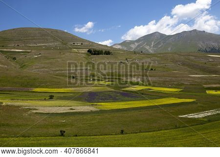 Norcia (pg), Italy - May 25, 2015: The Famous Spring Flowering In The Fields Around Castelluccio Di 