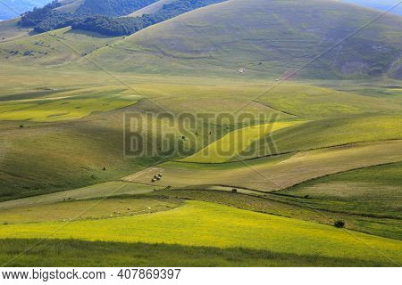 Norcia (pg), Italy - May 25, 2015: The Famous Spring Flowering In The Fields Around Castelluccio Di 