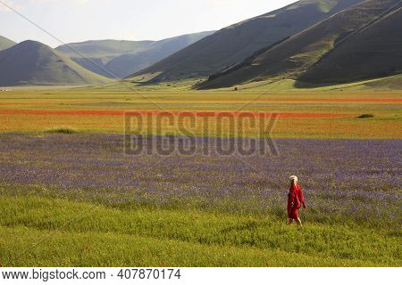 Norcia (pg), Italy - May 25, 2015: A Woman Walk In The Fields Around Castelluccio Di Norcia, Highlan