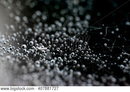 Natural Background With Spiderweb.round Spheric Little Dew Waterdops On Entangled Wet Web Threads