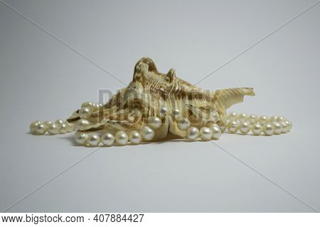 Seashell Isolated On White Background With Pearl Beads Lying On It