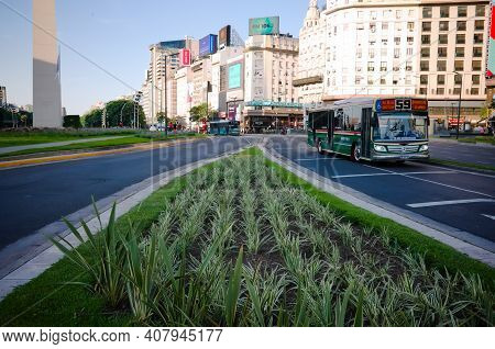 Buenos Aires, Argentina - January, 2020: Bus Route 59 Driving Near Obelisco De Buenos Aires - Obelis