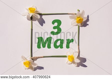 March 3th. Day 3 Of Month , Calendar Date. Frame From Flowers Of A Narcissus On A Light Background, 