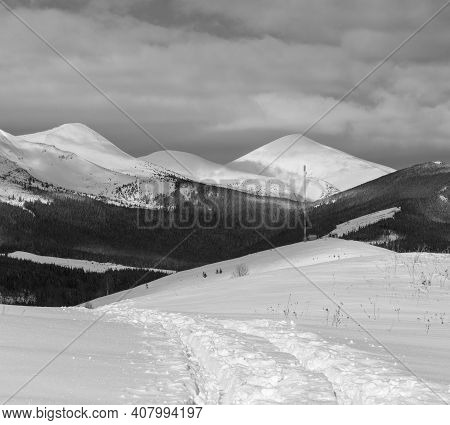 Grayscale. Sledge Trace And Footprints On Winter Mountain Hill Top And Snow Covered Alp Chornohora R