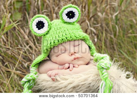 Sleeping froggie