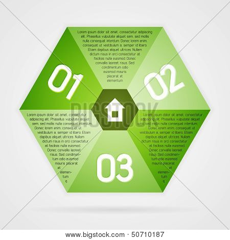 Vector Infographics Template