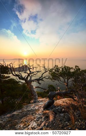 seascape