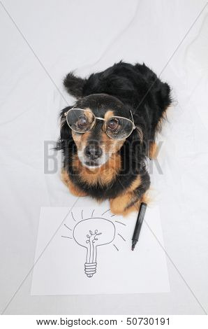 Drawing Dog