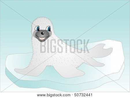 Seal On Ice