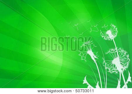 Dandelions Background