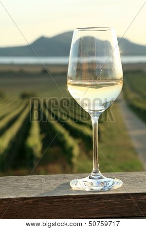 Glass of White Wine