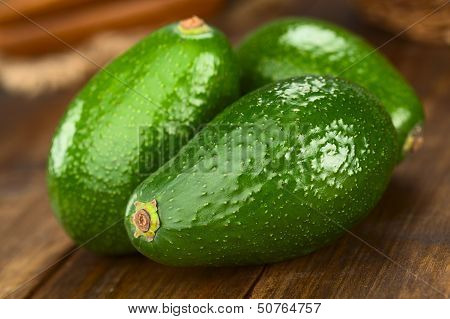 Avocado Fuerte