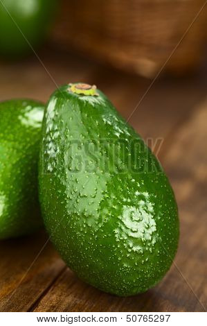 Avocado Fuerte