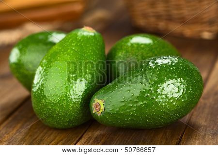 Avocado Fuerte