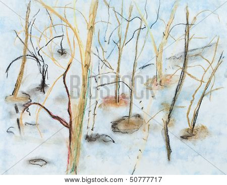 Trees In Spring Thawed Patches