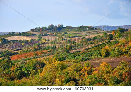 Colourful countryside landscape