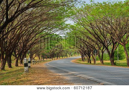 Road