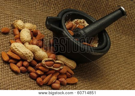Range Of Different Nuts