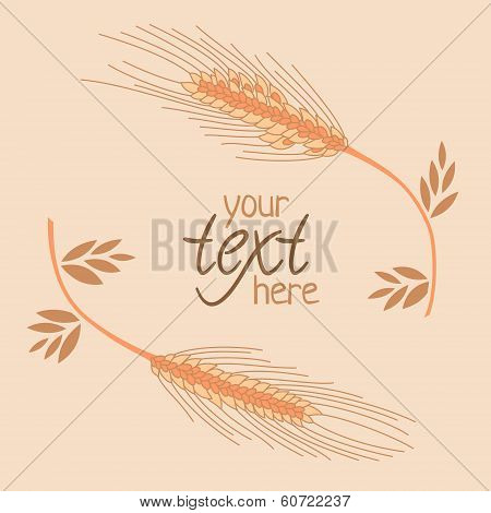 Spica vector illustration