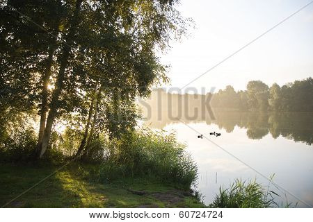 Sunrise And Birchtrees At Lake In Summer