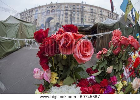 Flowers on barricades.