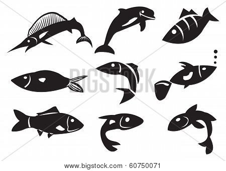 Vector Illustration Of Different Fish