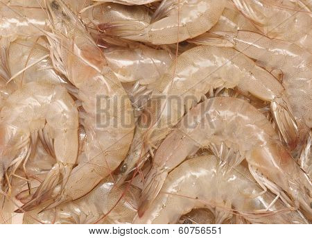 raw shrimps