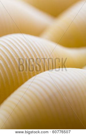 Ribbed Dry Yellow Macaroni With Periodic Line