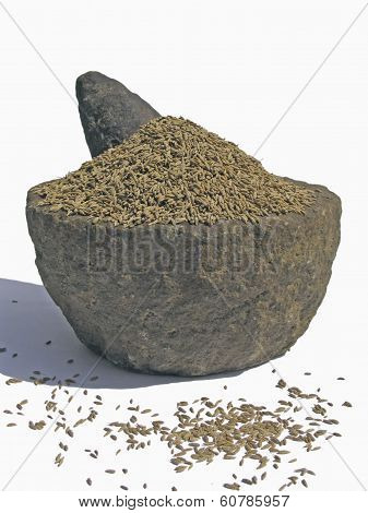Cumin, The Fruits Of Cuminium Cyminum